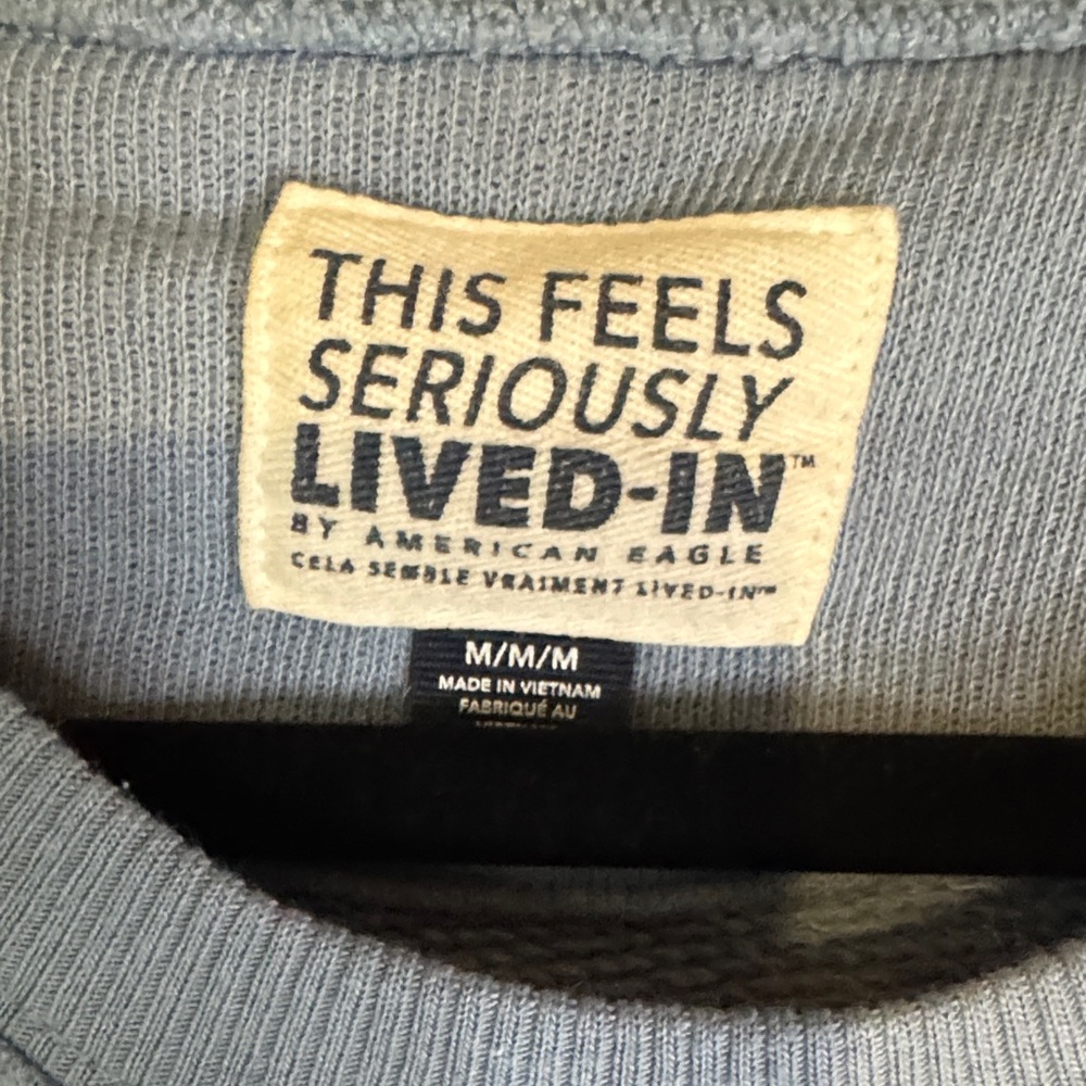 American Eagle Outfitters Sky Blue This Feels Seriously Lived In Sweatshirt - Picture 2 of 8